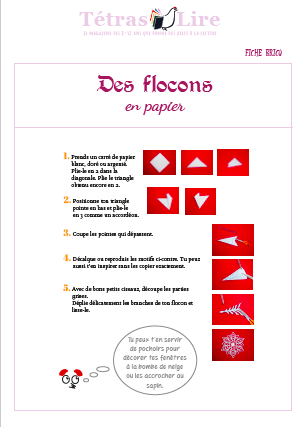 Vignette fiche flocon