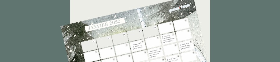 calendrier-lecture janvier 2022