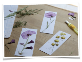 vignettes_sommaire.004